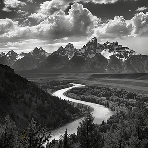 Monochrome Majesty