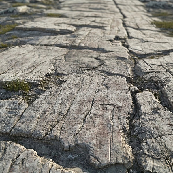 Ancient Pathway 2H9N3Z 48 by Abstract Rebellion