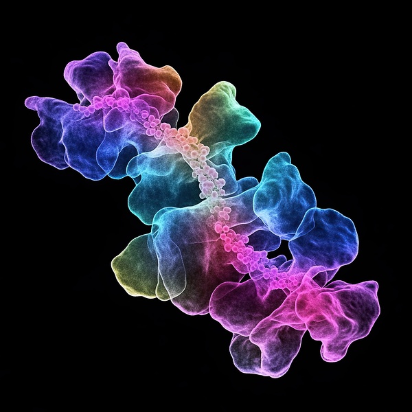 Chromatic Helix NZ92HJ 62 by Abstract Rebellion