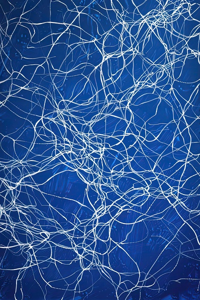 Azure Web of Light 23NPHJ 58 by Abstract Rebellion