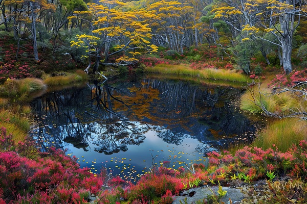 Autumn Reflections NZ 9P3N4H 45 by Abstract Rebellion