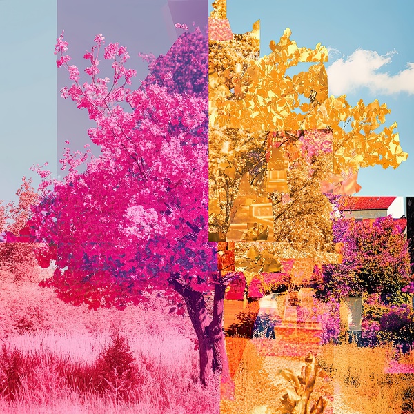 Chromatic Seasons Shift 7P3H9N 60 by Abstract Rebellion