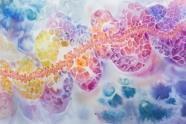 Cellular Harmony K29D3H 49 by Abstract Rebellion