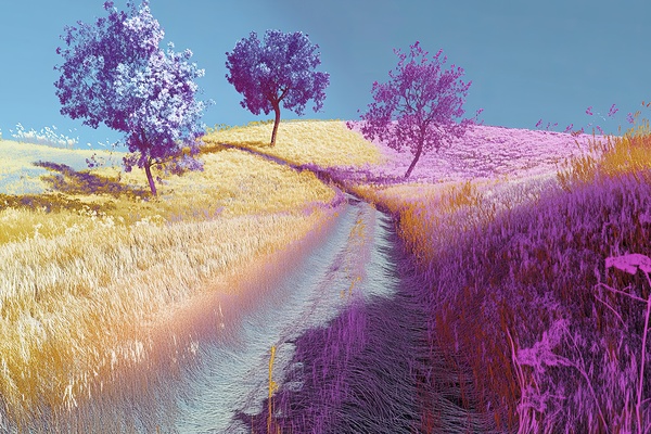 Chromatic Pathways 2H9N3Z 62 Print