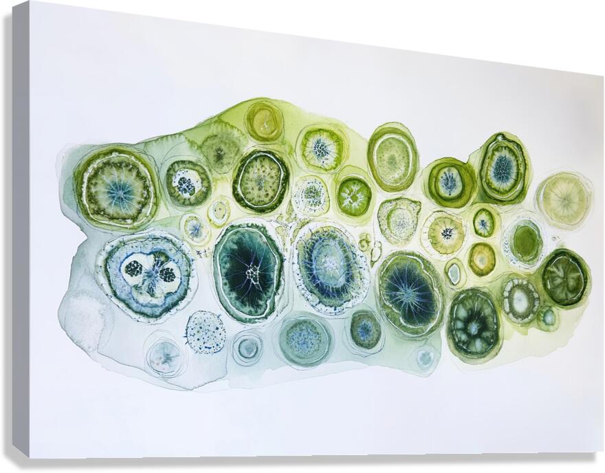 Cellular Echoes ZH92N5 47 Canvas Print