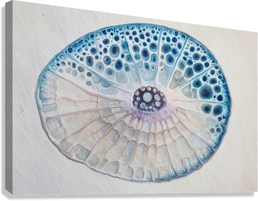 Cellular Echoes H9P4N2 50 Canvas Print