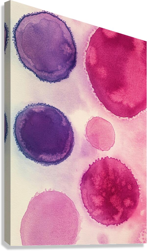 Chromatic Orbs NZ92P3 45 Canvas Print