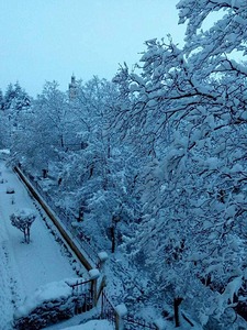 Show natural landscape IFRANE  Morocco