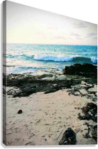 Sandy Beach Canvas Print