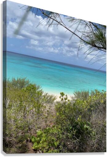 Shore Canvas Print
