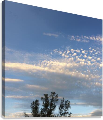 sky Canvas Print