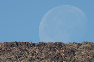 Moon Rise