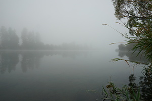 Foggy River