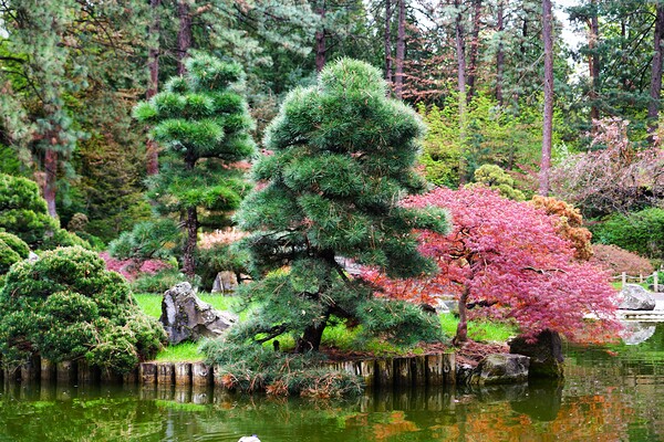 Japanese Garden by Denise Thrasher