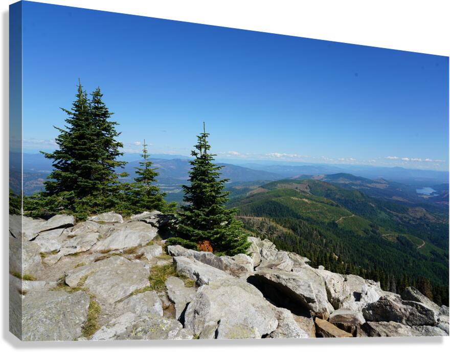 Washington Canvas Print