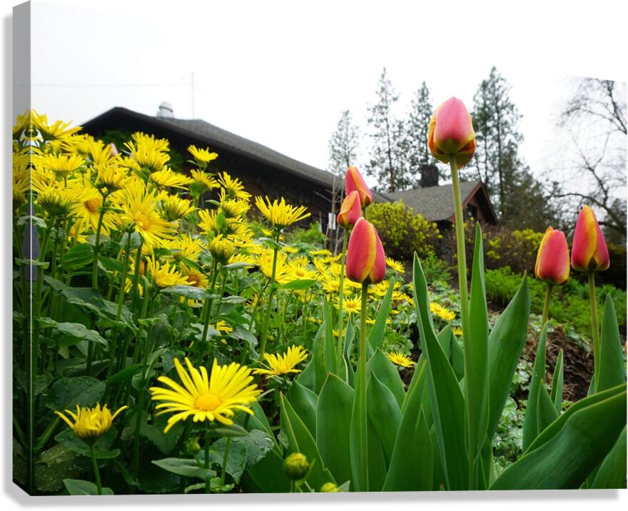 Flower Garden Canvas Print