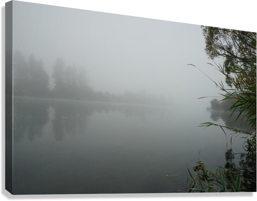 Foggy River Canvas Print