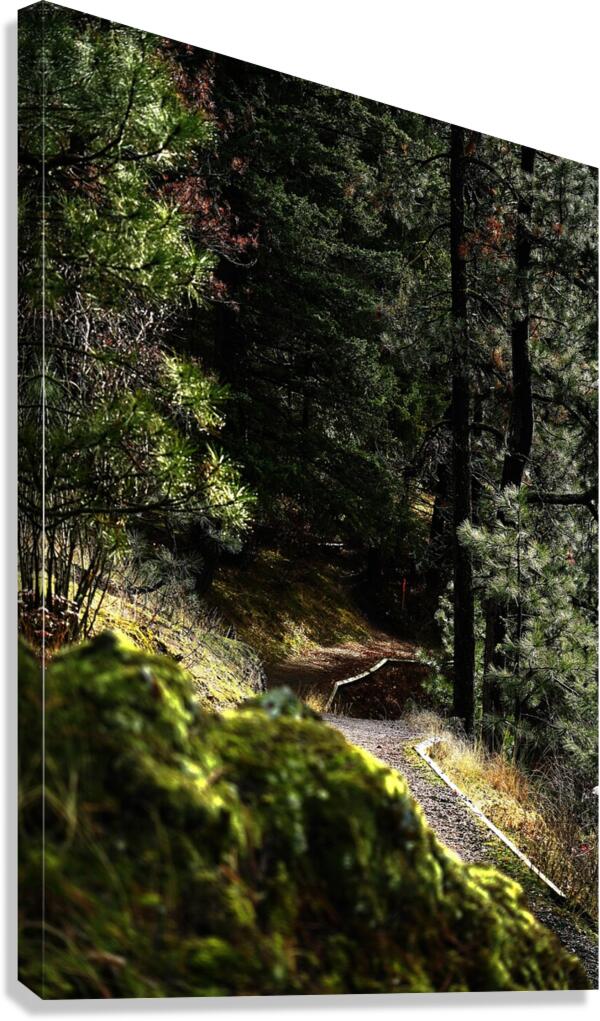 Hike Canvas Print