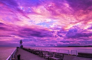 colors of life.