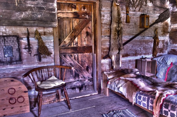 Cabin Print