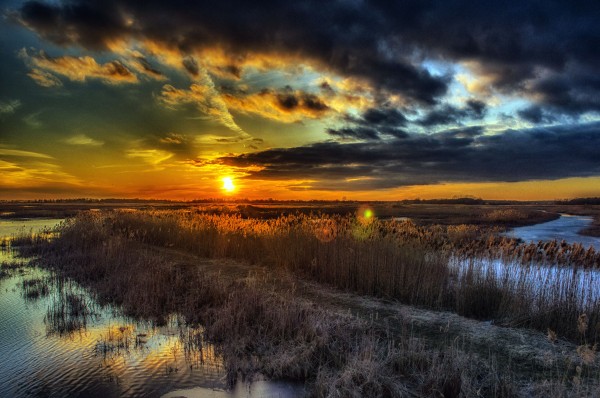 Goldenlight2 Print