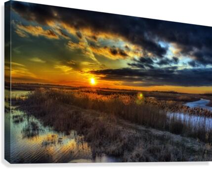 Goldenlight2 Canvas Print