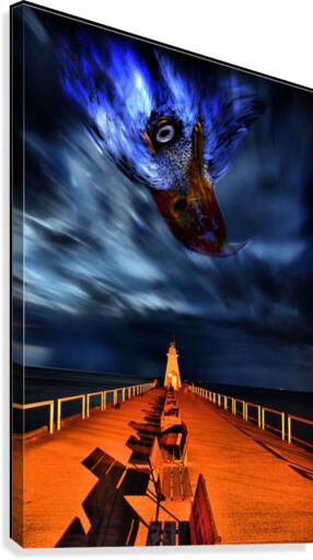night. Canvas Print