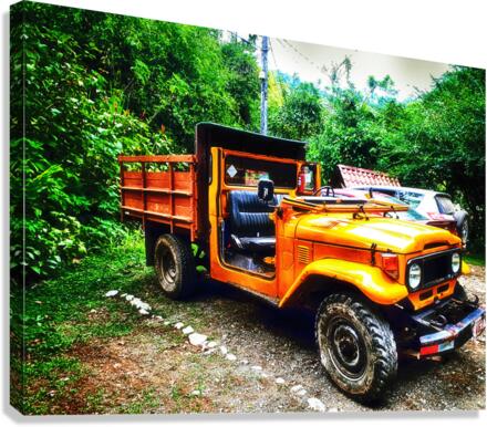 Truck Canvas Print