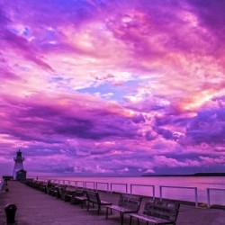colors of life.
