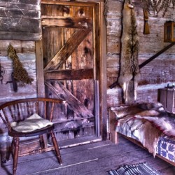 Cabin