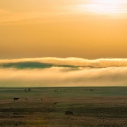 Blanketed Hills MontanaU.S.A-