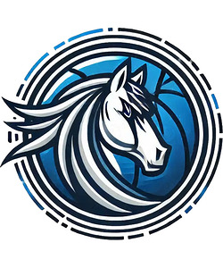 Dallas Mavericks 27