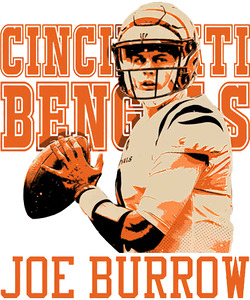 Cincinnati Bengals 20