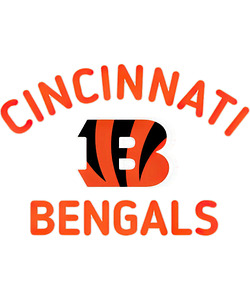 Cincinnati Bengals 24