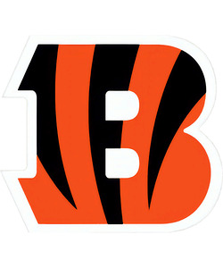 Cincinnati Bengals 30