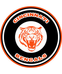 Cincinnati Bengals 28