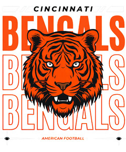 Cincinnati Bengals 5