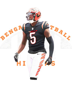 Cincinnati Bengals 47