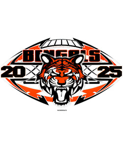 Cincinnati Bengals 17