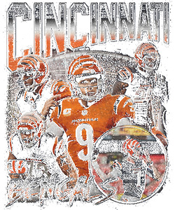 Cincinnati Bengals 48