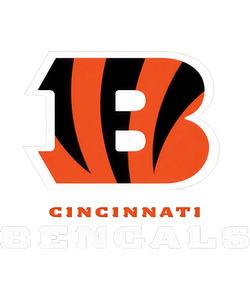 Cincinnati Bengals 8