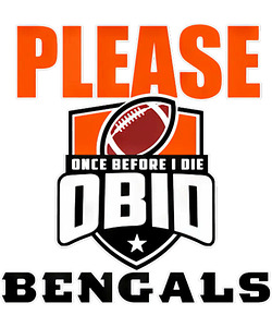 Cincinnati Bengals 1