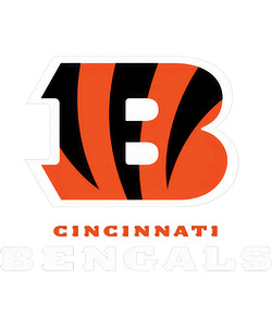 Cincinnati Bengals 46