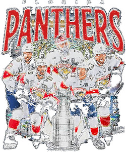 Florida Panthers 47