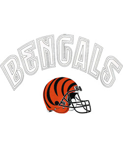 Cincinnati Bengals 30