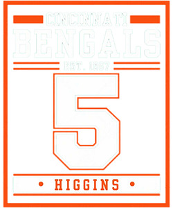 Cincinnati Bengals 11