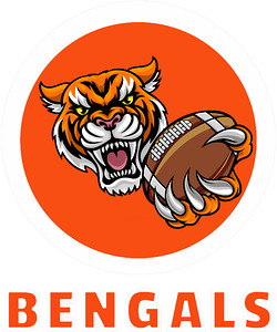 Cincinnati Bengals 34