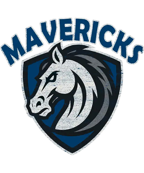 Dallas Mavericks 31 by RobbinFSingleton