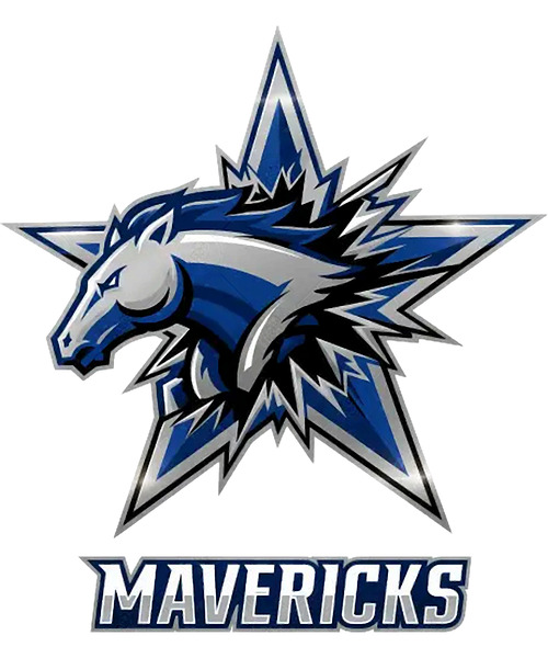 Dallas Mavericks 26 by RobbinFSingleton