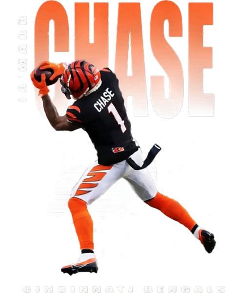 Cincinnati Bengals 40 by RobbinFSingleton